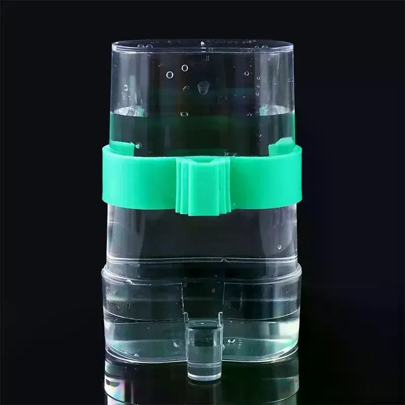 Pet Supplies: Automatic Bird Water Dispenser for Small Birds