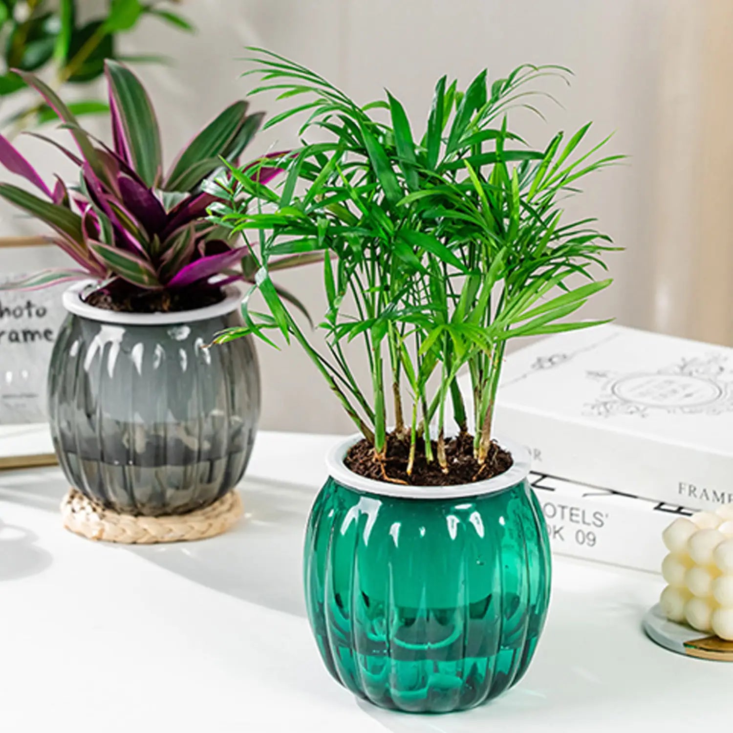 Ein leuchtend grüner gerippter Glas-Selbstbewässerungs-Blumentopf mit weißem Rand hält eine üppige Palmenpflanze in einem transparenten Kürbisstil-Bewässerungs-Pflanzgefäß