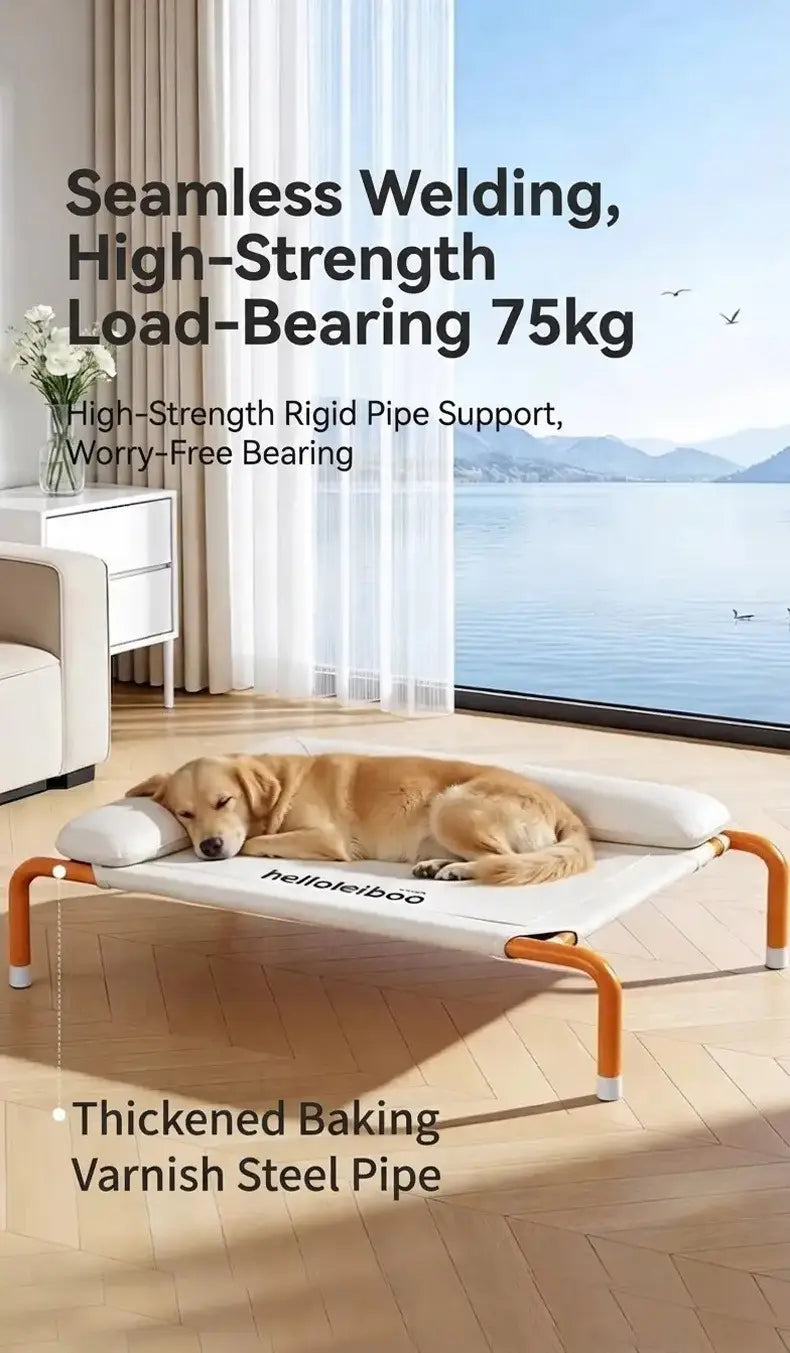 Orange metal frame dog bed with white cushion and pillow featuring an elevated design and white mesh raised pet cot for comfortable dog rest.