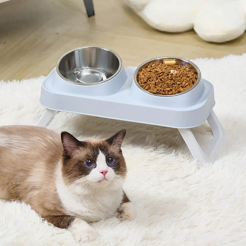 Light blue elevated plastic cat feeder with two stainless steel tilt bowls one filled with dry kibble and the other empty.