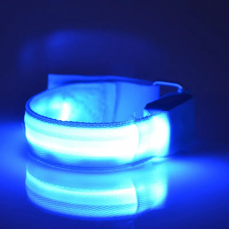 Collar azul para mascotas con LED y franjas reflectantes, con hebilla ajustable, diseñado como luz de seguridad recargable por USB para correr y actividades al aire libre