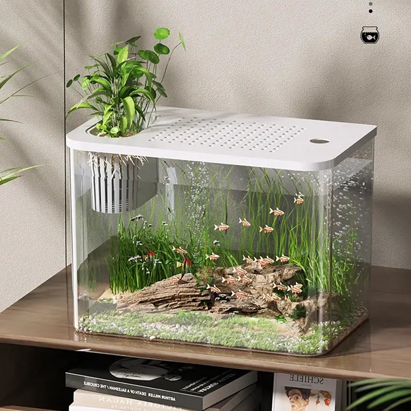 transparent desktop fish tank made of clear glass with a white lid featuring green aquatic plants and small fish swimming among rocks and grass