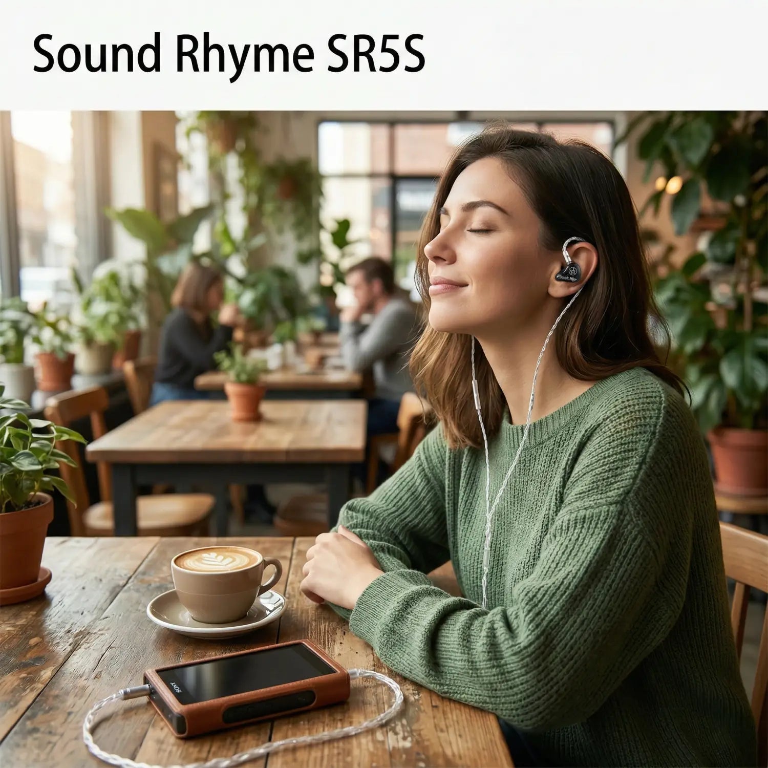 Las funciones de rima sonora sr5s en los auriculares hi-fi de oído incorporan controladores de armadura equilibrada con un diseño elegante en negro y plata y un cable trenzado duradero de cobre de un solo cristal para mejorar el rendimiento de audio en el oído humano, ajuste grande.