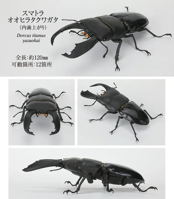 黒色のドルクス・タイタヌス・ヤスオ(Dorcus titanus yasuo)クワガタの置物フィギュアで、可動式の脚と光沢のある外骨格を備えた、バンダイのノコギリクワガタ完成品モデル玩具です。