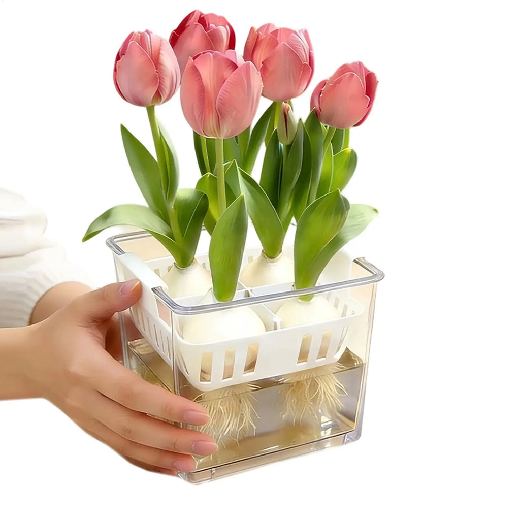 4 Grids Hydroponics Nurserys Pots Planter Containers Clear Tulips Planter Plastic Square Planting Basket Indoor Gardening