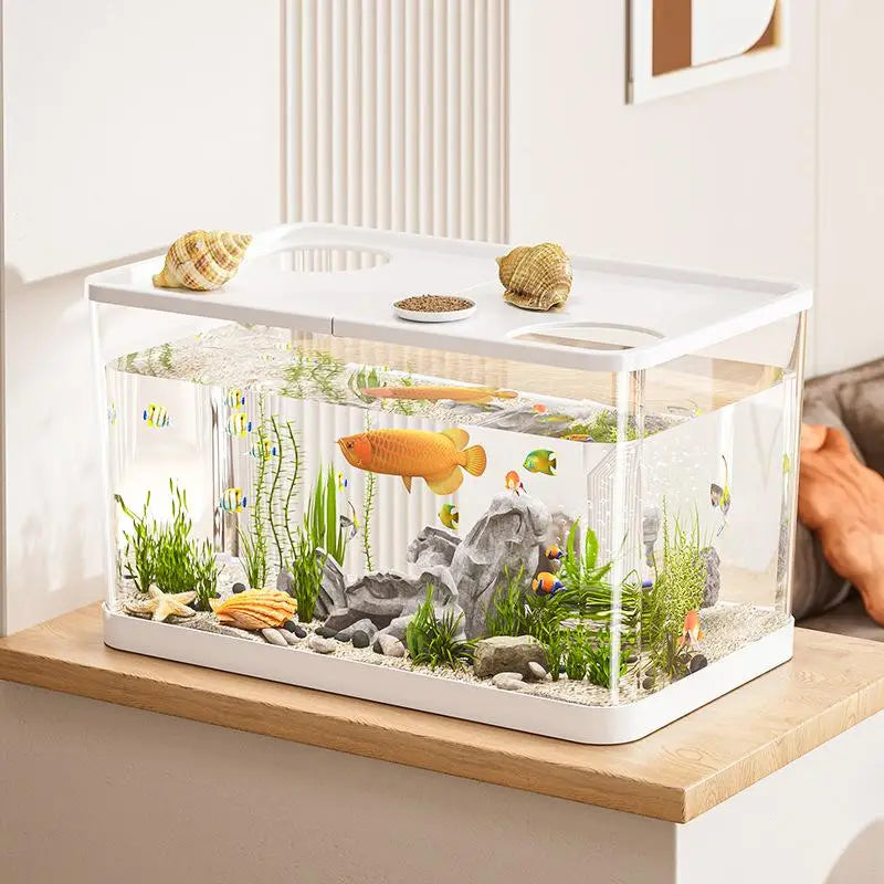 clear rectangular ecological desktop fish tank aquarium with white plastic lid and base featuring a vibrant orange goldfish swimming among green aquatic plants gray rocks sand substrate and decorative seashells on the top surface
