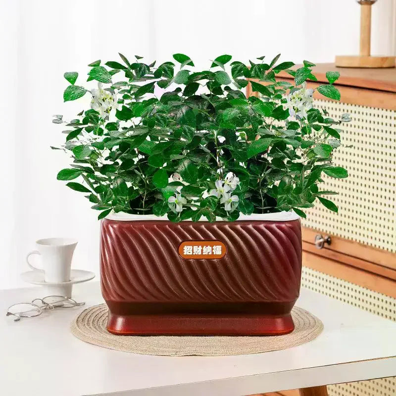Self Watering Flower Pot Plastic Plant Pots Self Watering Planter Pot Vase For Home Decoration