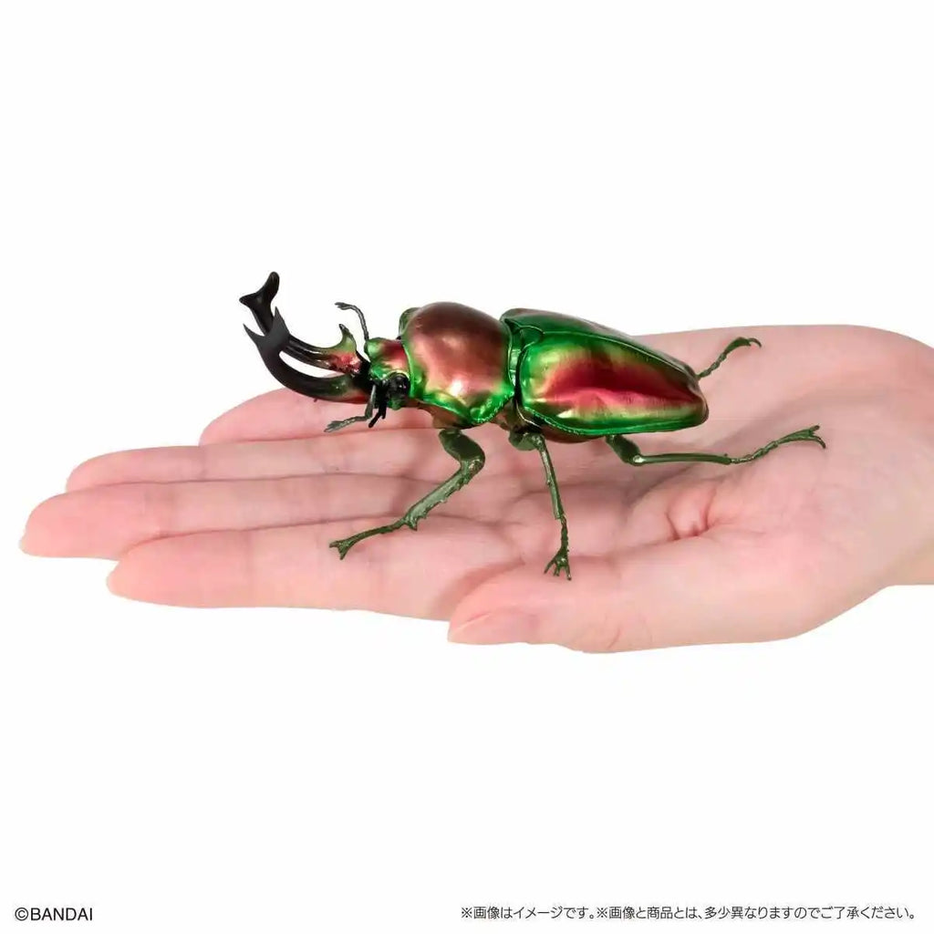 Original Bandai Biological Encyclopedia Gashapon Toys Stag Beetle Series 10 Phalacrognathus Muelleri Simulated Insects Model Toy