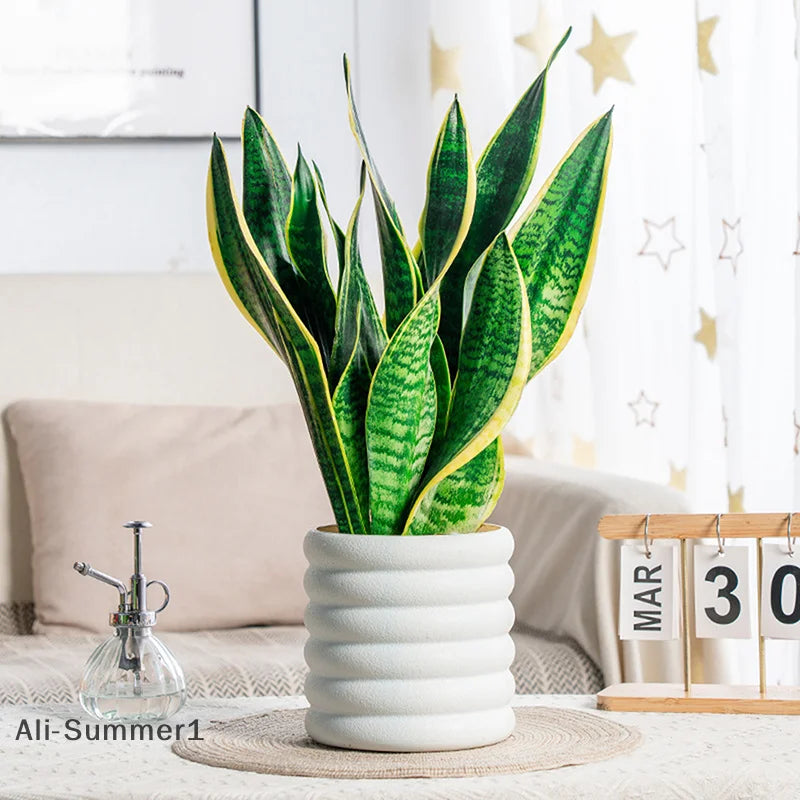 【E】Porcelain-like plastic flower pot Indoor Plants Pots Office For Flower Multipurpose Planters For And Vegetable For Plants Pot