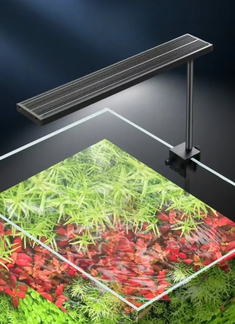 Luz LED para tanque de peces de aleación de aluminio negro rectangular, con diseño moderno y elegante, pinza ajustable y fuente de alimentación DC12V