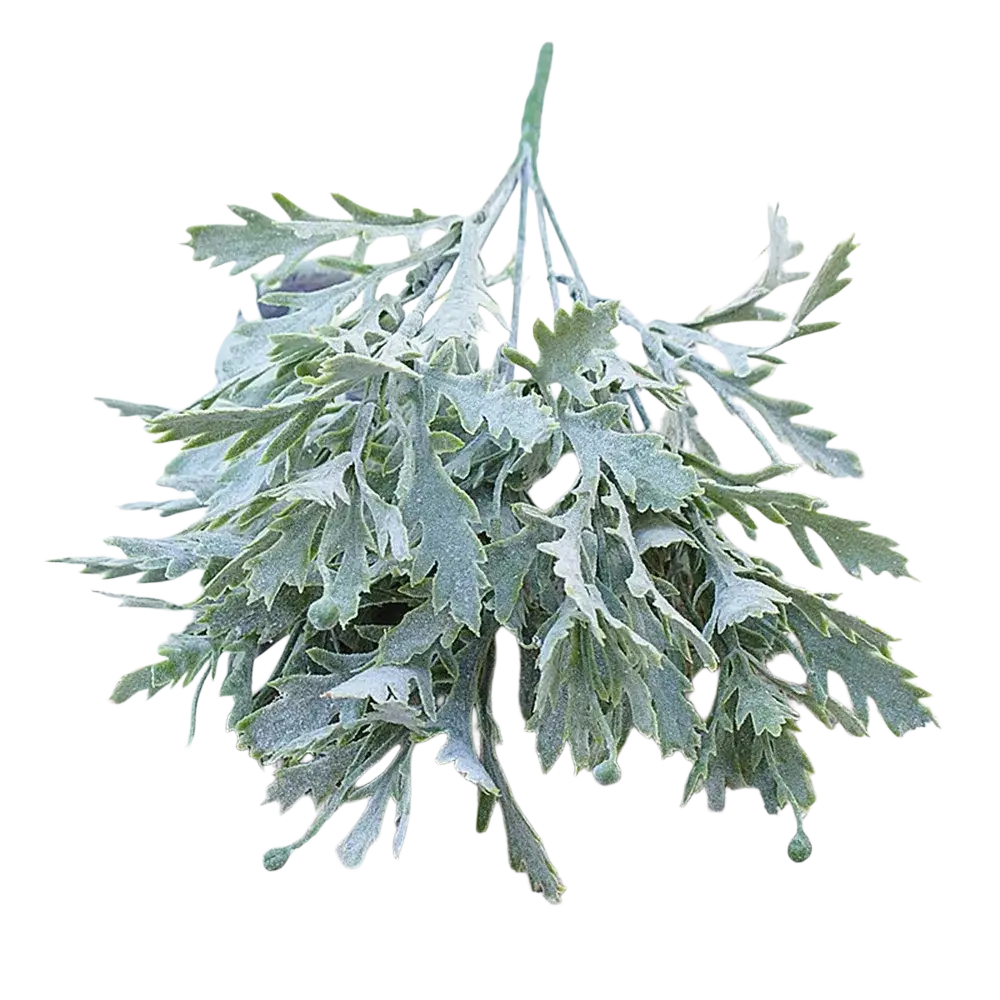 Un manojo de planta artificial de hoja de crisantemo verde plateado con hojas plumosas de textura escarchada para la decoración del hogar.