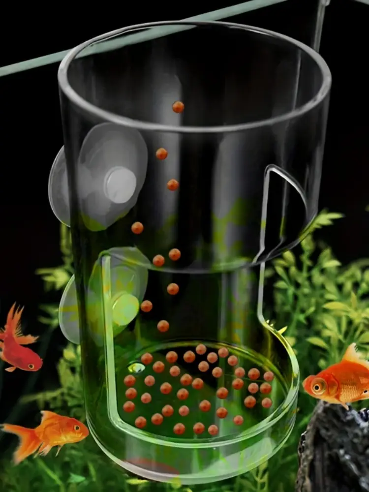 Anneau d’alimentation flottant pour poissons en acrylique transparent, avec ventouses et poignée, conçu pour contenir des granulés d’aliments pour poissons orange dans un aquarium.