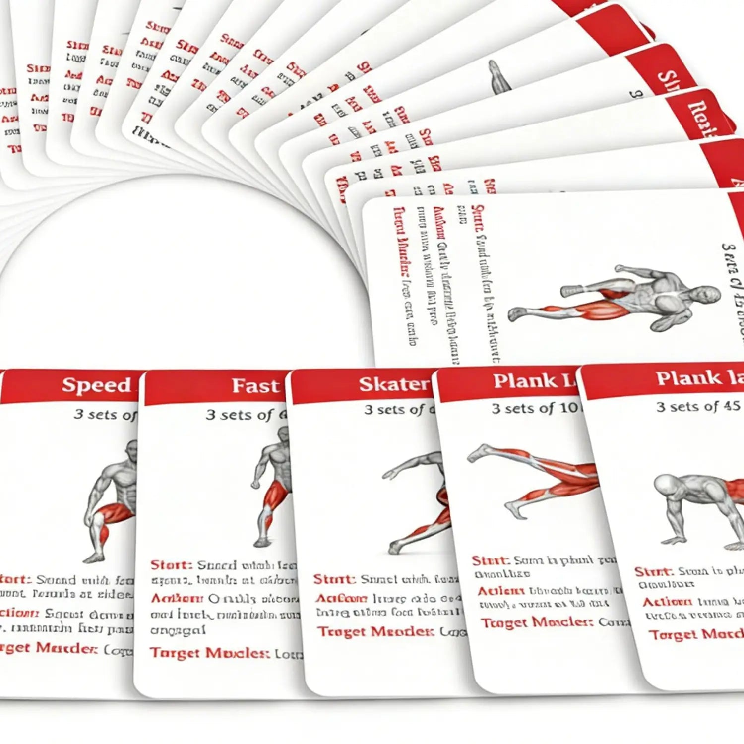 white and red workout cards fitness exercise deck featuring anatomical muscle group illustrations for home and gym use
