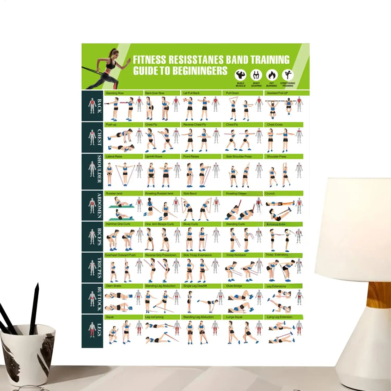 Green and white resistance band workout poster fitness training guide featuring beginner exercises for strength and flexibility training.