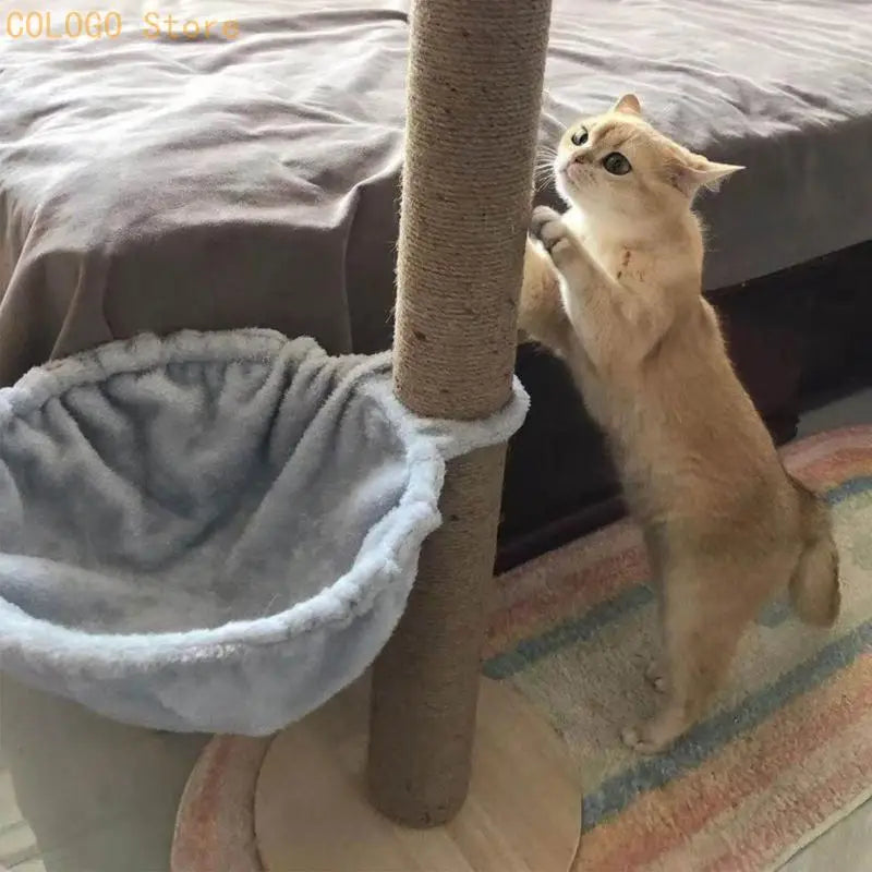 un gato beige se mantiene de pie sobre sus patas traseras, sujetando con las garras un poste rascador alto recubierto con cuerda de sisal de color natural, que se encuentra unido a una hamaca de felpa suave para reemplazo de árbol para gatos, diseñada como una zona de descanso desgastada.