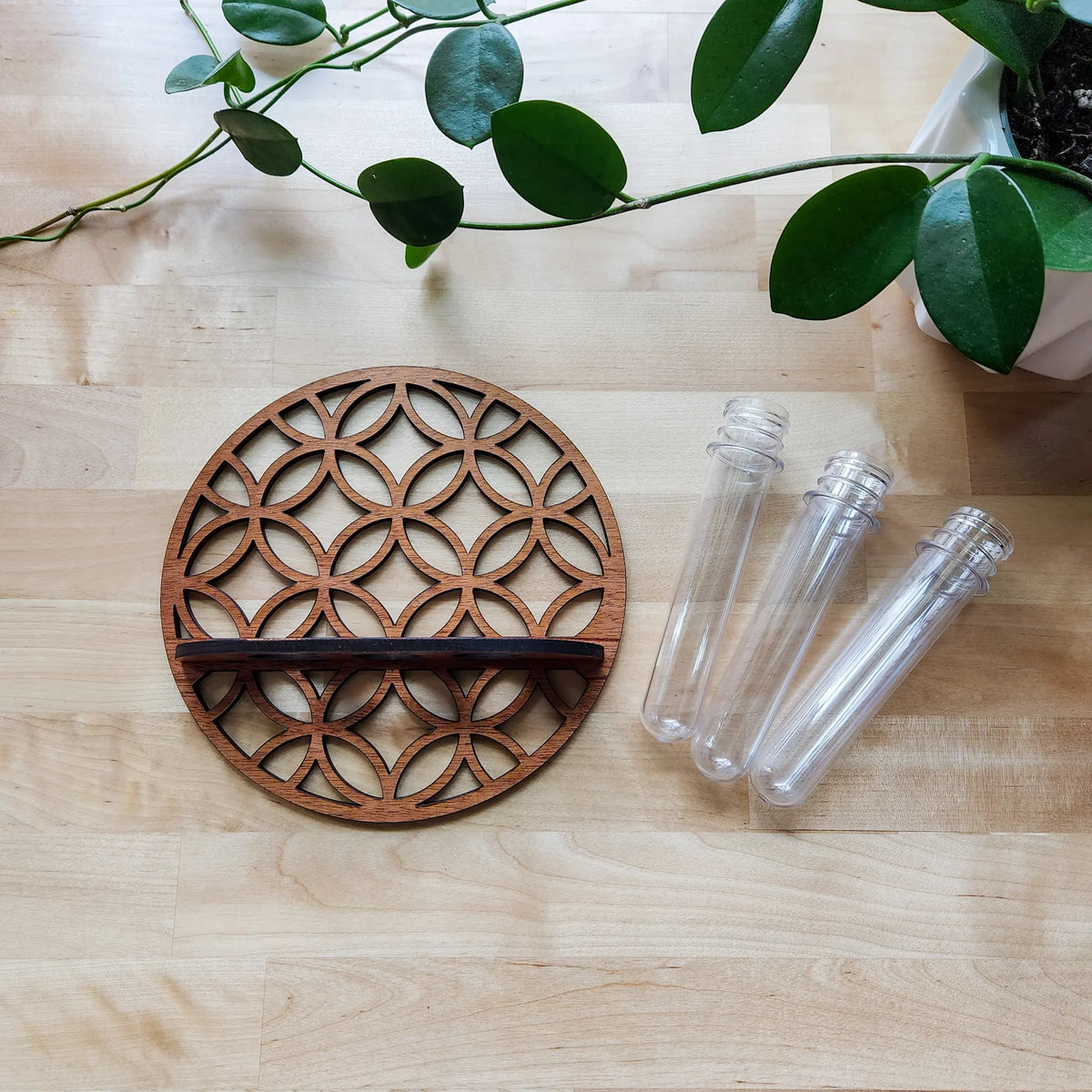 Wall Planters for Indoor Plants with 3 Plastic Test Tubes Plant Propagation Station for Home Office Plant Hanger Flower Vases
