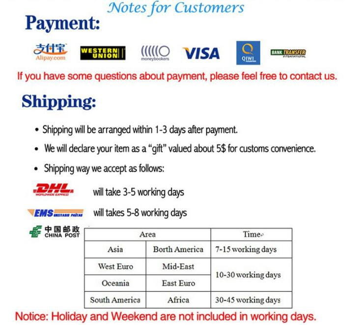 Document d’instructions de paiement et d’expédition pour les survêtements pour homme en molleton, type jogger, décontractés, pour entraînement, comportant des logos pour Alipay, Western Union, Visa, Qiwi, DHL, EMS et China Post.