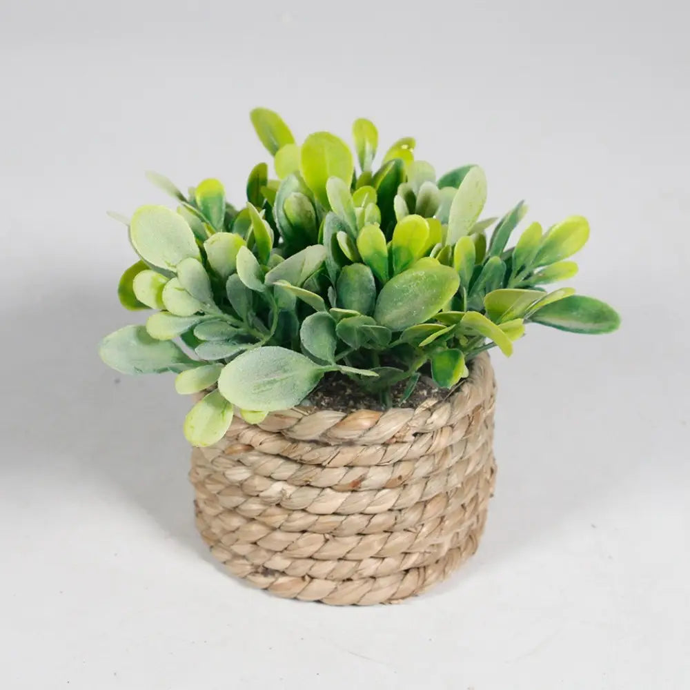 Un petit pot/pot de plantation tressé compact en fibres naturelles renferme une luxurieuse plante artificielle en pot d’eucalyptus aux feuilles vertes panachées, dans des tons de vert clair et foncé, mesurant 11 cm.