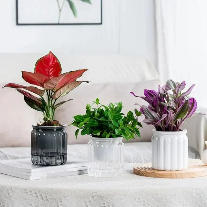 6pcs Self Watering Planter Pots Flowerpot Mini Round Design Succulent Plant Pot Indoor Lazy Flower Pot Garden Modern Decorative