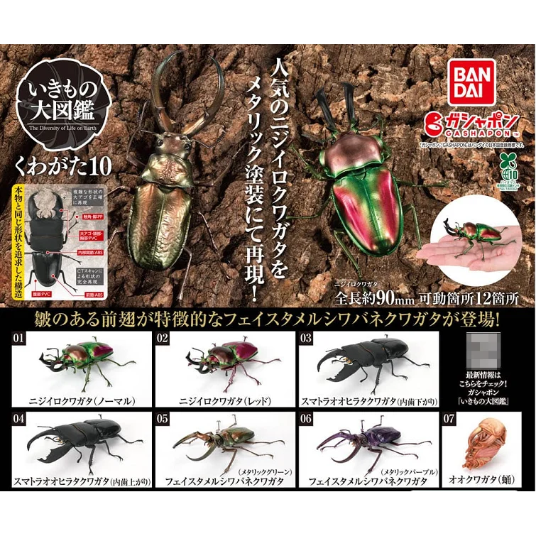 Original Bandai Biological Encyclopedia Gashapon Toys Stag Beetle Series 10 Phalacrognathus Muelleri Simulated Insects Model Toy