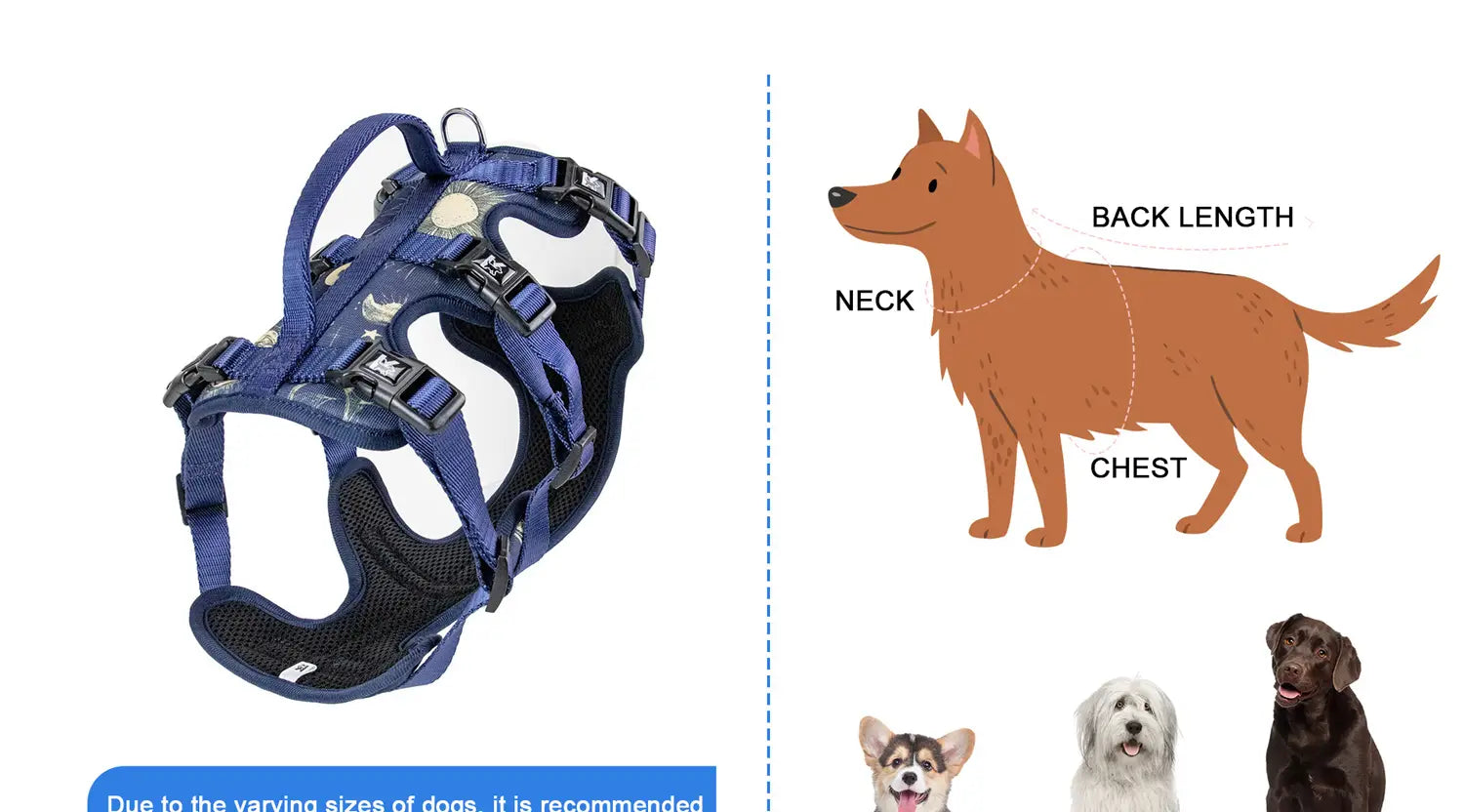 Harnais pour chien bleu avec rembourrage en maille noire et boucles réglables, conçus pour un usage avec un collier et une laisse pour animal de compagnie, avec circonférence du cou réglable.