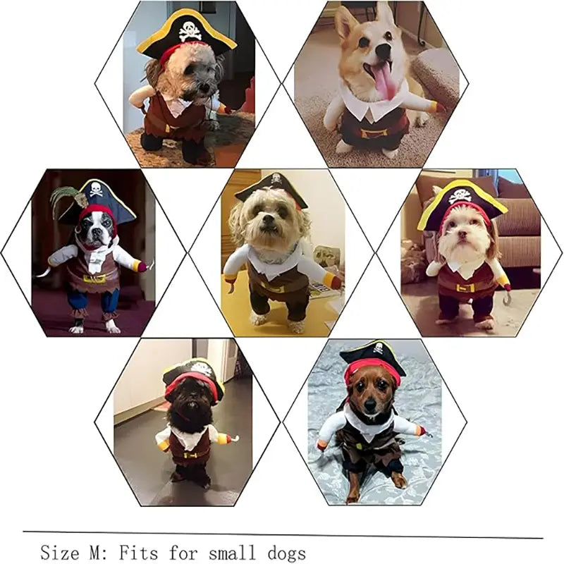 Piratenhundekostüm mit schwarzem und gelbem Dreispitz-Hut, brauner Weste, weißem Hemdkragen und passendem Hosen-Set.