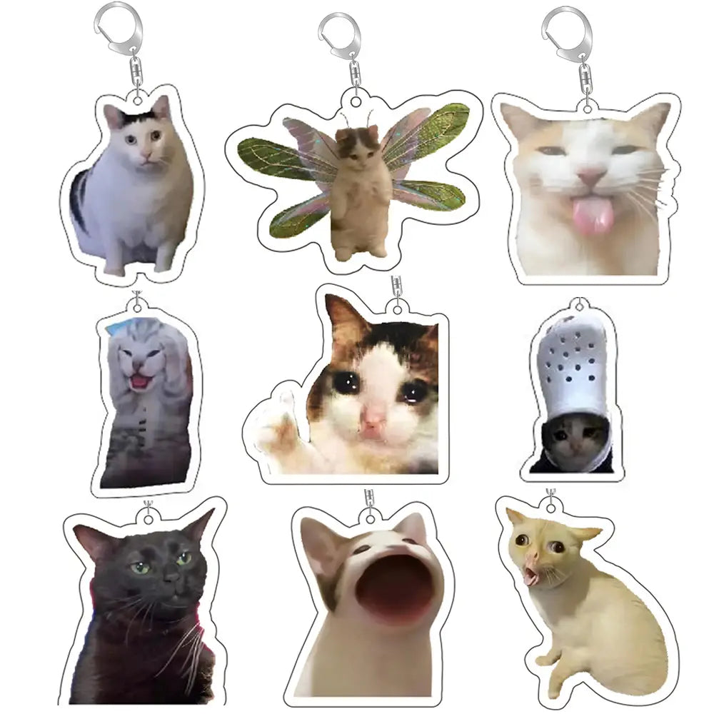 Clear acrylic cat meme keychains with silver metal clasps featuring cat-themed designs.