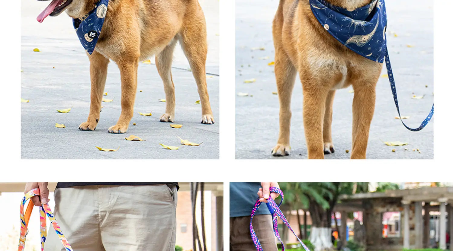 Bandana pour chien bleu à motifs, avec motif de plumes blanches et boutons argentés, faisant partie d’un ensemble de harnais pour animal de compagnie à circonférence du cou réglable, comprenant un collier et une laisse pour animal de compagnie.