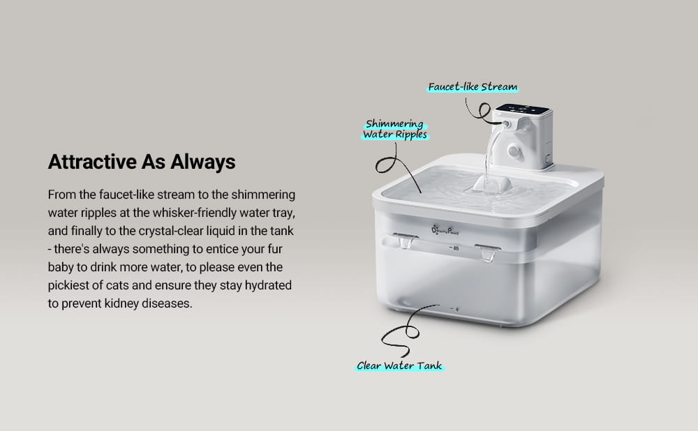 white and transparent pet water fountain with a sleek modern design and faucet like stream dispenser featuring a wireless motion sensor and 2.5 liter capacity water dispenser