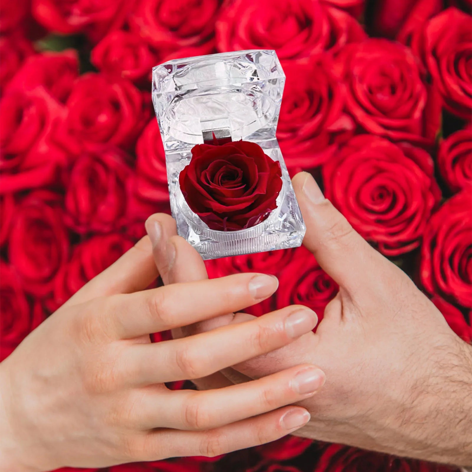 Eternal Preserved Rose Real Flower Valentine'S Birthday Anniversary Mother'S Day Acrylic Gift Box New Artificial Decorations