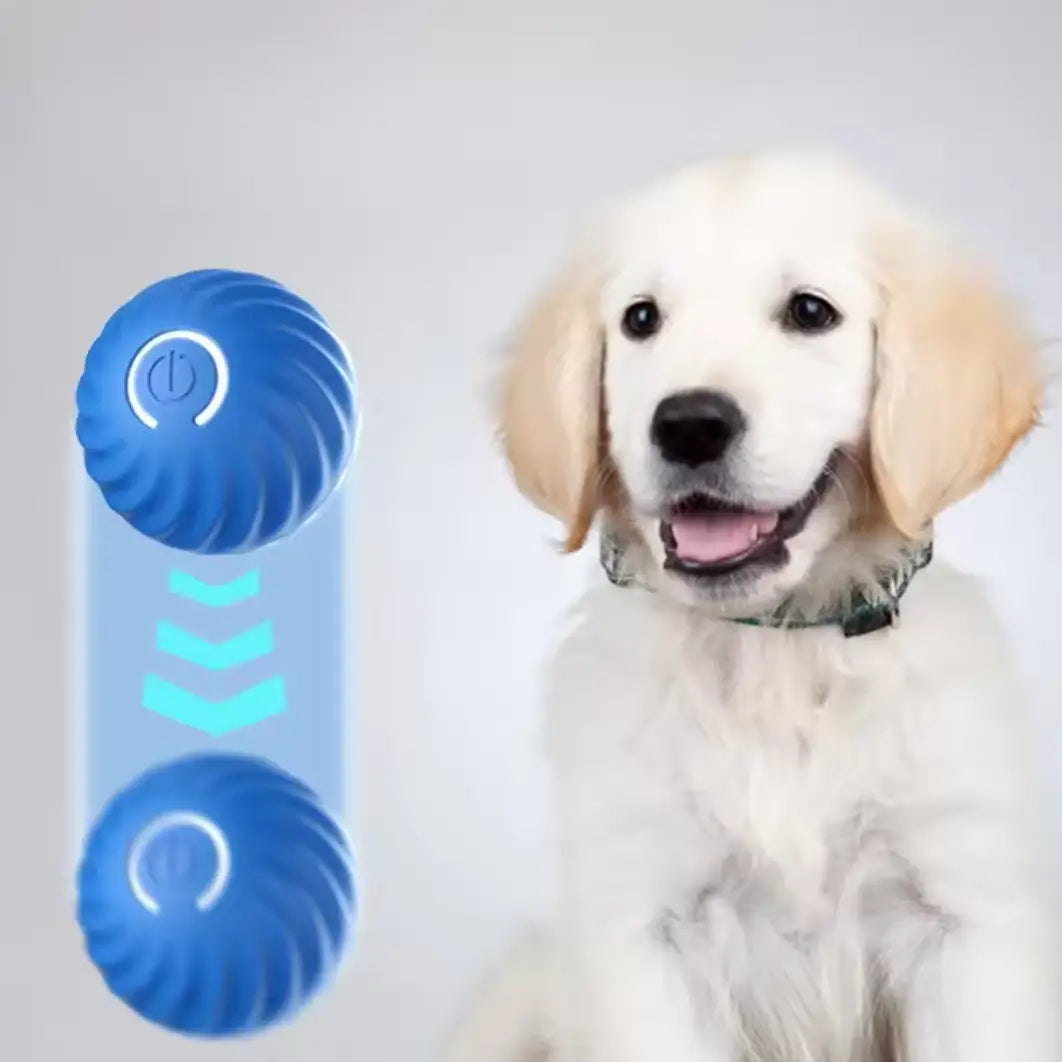 発光する電源ボタンのデザインを備えた青いテクスチャード加工のインタラクティブ犬用おもちゃで、充電式の自動転がしボールとして、インタラクティブなおもちゃタイプの中でペットの遊びを促します。