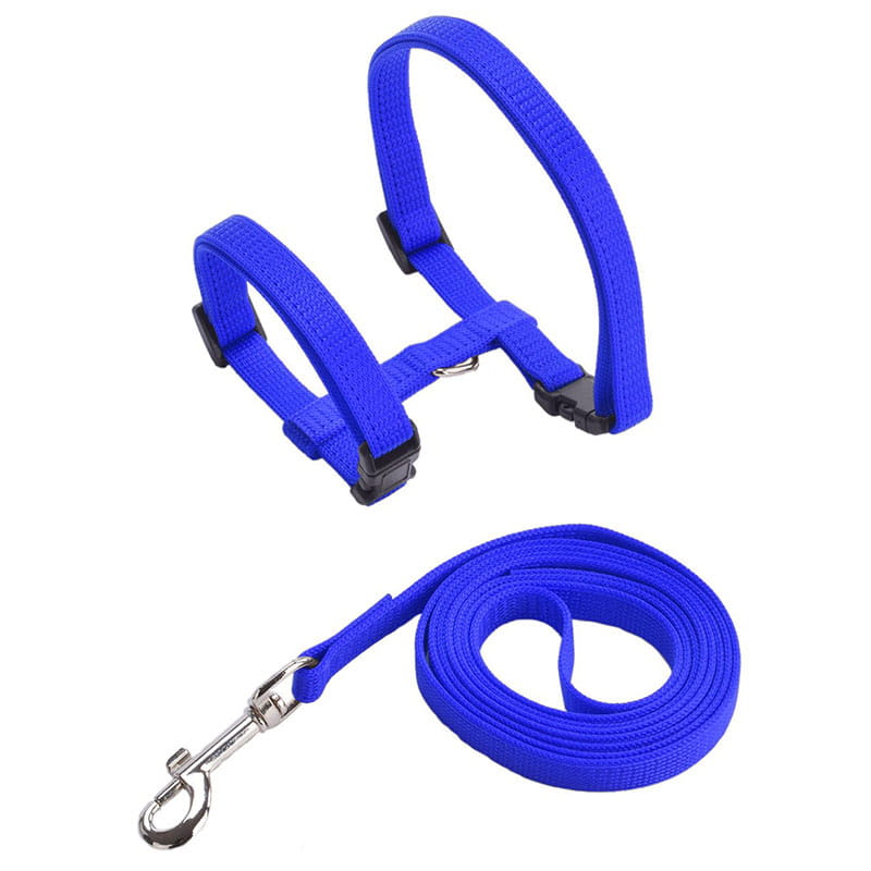 Verstellbares Nylon-Katzengeschirr- und Leinen-Set in leuchtendem Blau mit schwarzen Kunststoffschnallen und einem silbernen Metallverschluss aus strapazierfähigem Nylon.
