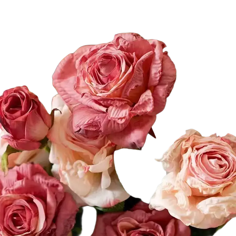A burnt edge rose bouquet of soft pink and blush roses with layered petals and vibrant green leaves viewed from above