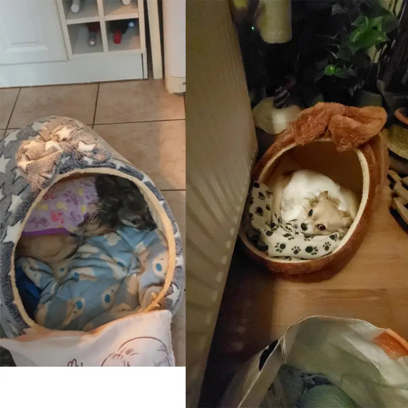 Brown plush pumpkin-shaped foldable pet cave bed with a soft bow on top for small dogs and cats