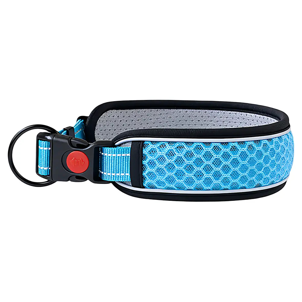 Hellblaues, reflektierendes Hundehalsband mit Wabenmuster, schwarzem Zierbesatz und roter Knopf-Schnalle für die Verwendung als verstellbarer Führgurt.