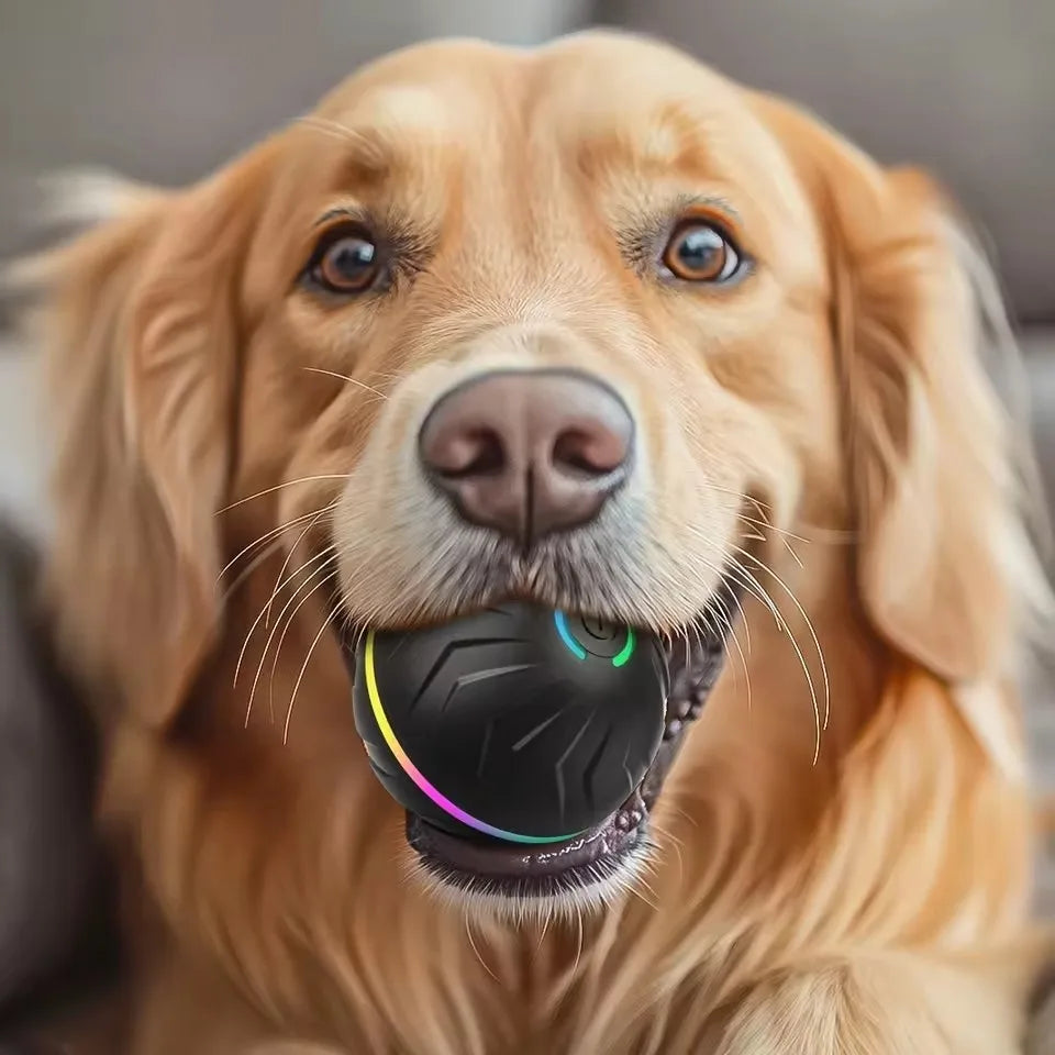 Pet Intelligent Gravity Bouncing Ball Dog Interactive Electric Smart Rolling Ball Dog Jumping Ball Pet Relaxation Sports Toys