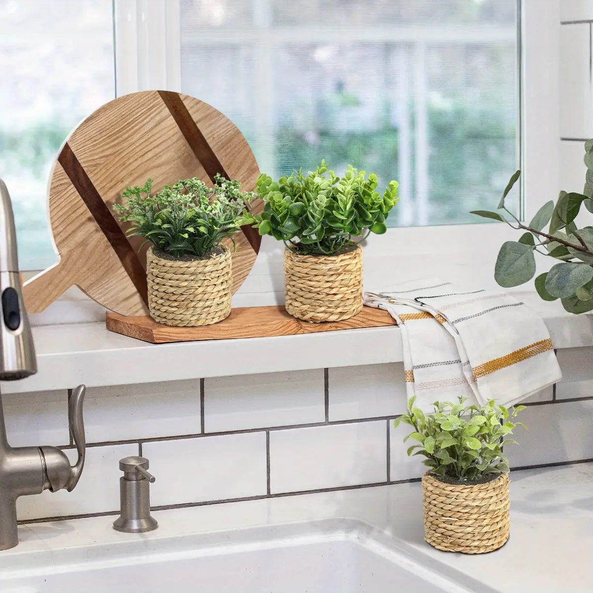 Three woven natural fiber planters each holding a small green artificial eucalyptus shrub from the small potted plants collection measuring 17cm.
