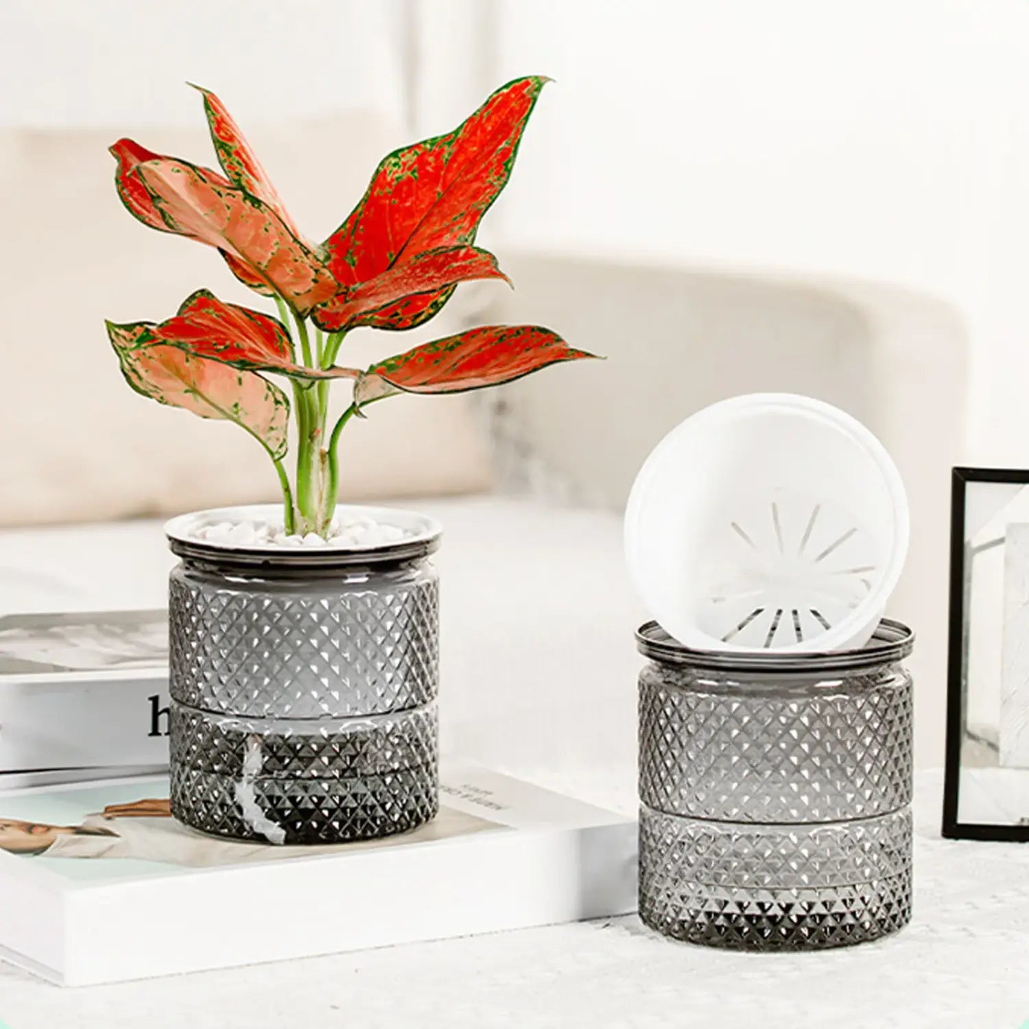 セルフウォーターリング・ミニプラスチック多肉植物ポット6個セットの一部として展示された、白い小石を土台に置いた、テクスチャーのあるシルバーガラスの鉢に植えられた、鮮やかな赤と緑の葉の植物。