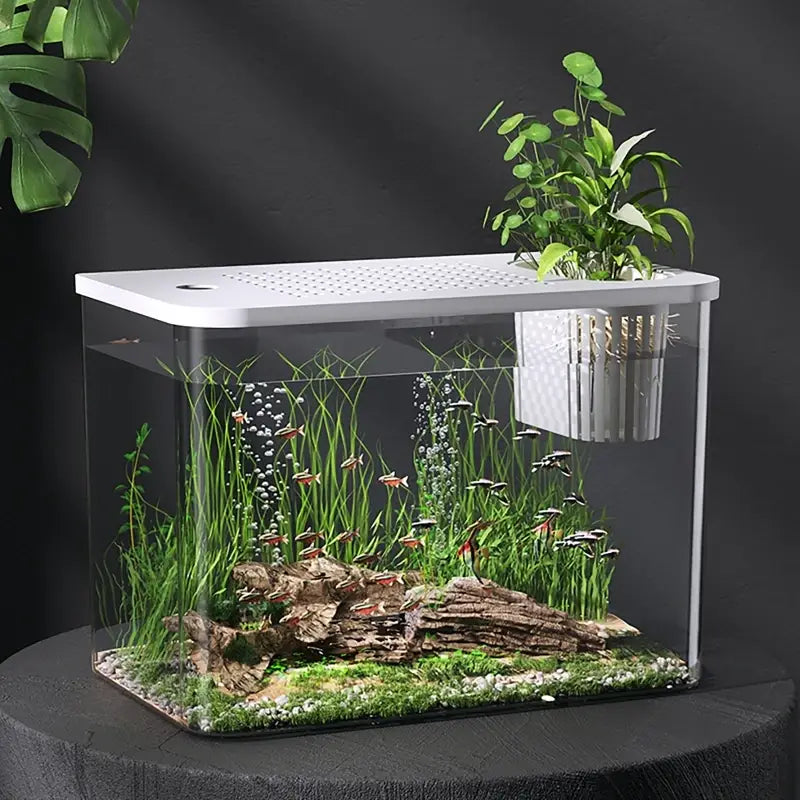 A sleek white rectangular transparent desktop fish tank with clear glass sides, perforated lid, and integrated filtration system on the right side.