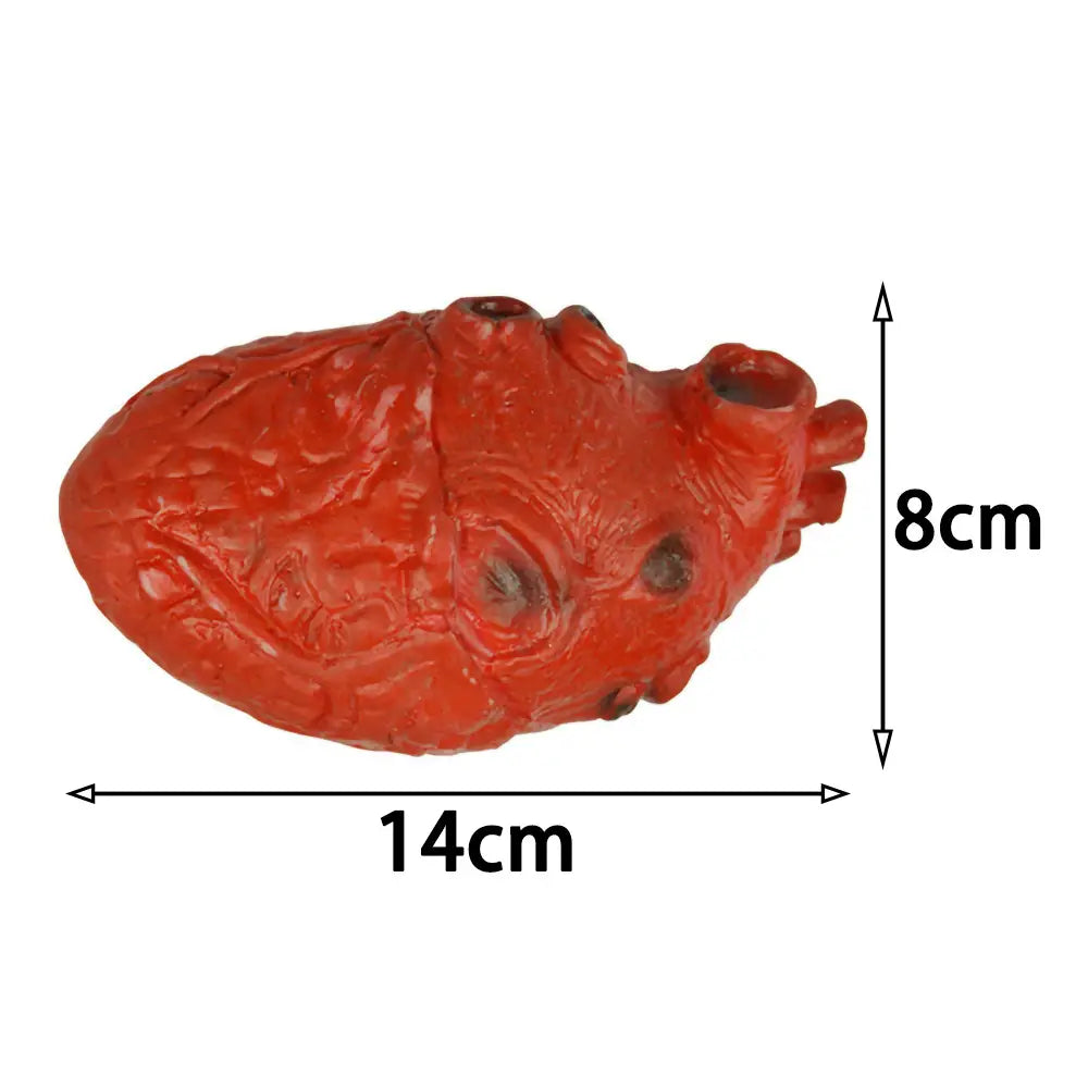 Vibrant red anatomically detailed plastic heart shaped planter used as a fake bloody human heart Halloween prop.