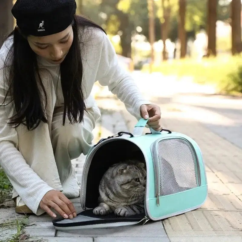 Sac bandoulière de transport pour animaux en maille respirante vert menthe, avec côtés en maille et intérieur souple pour un transport sûr.