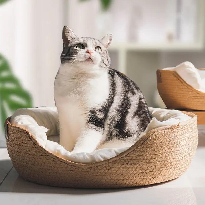 A cozy woven wicker cat bed paper rope sleeping bag with a soft white cushioned interior for comfortable pet resting.