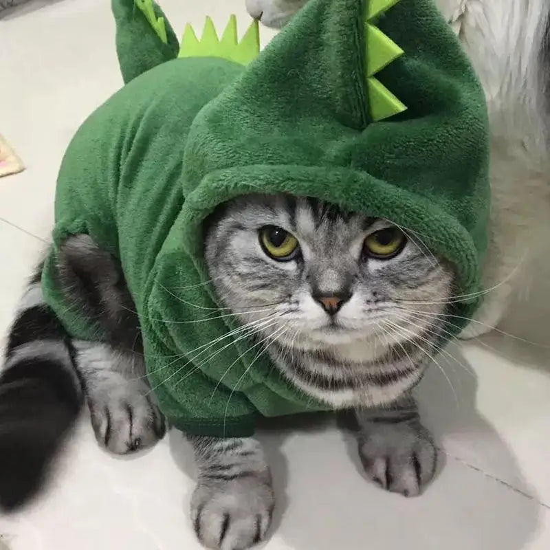 Un gato atigrado gris que lleva un mono de forro polar verde con temática de dinosaurio, con espigas dorsales con púas en verde lima, diseñado como ropa para perros pequeños.