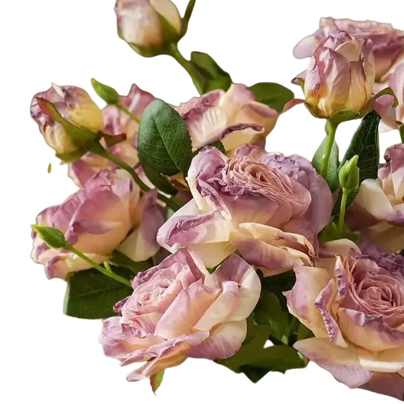 A bouquet of burnt edge roses with delicate pink and cream petals and green leaves for french vintage decor