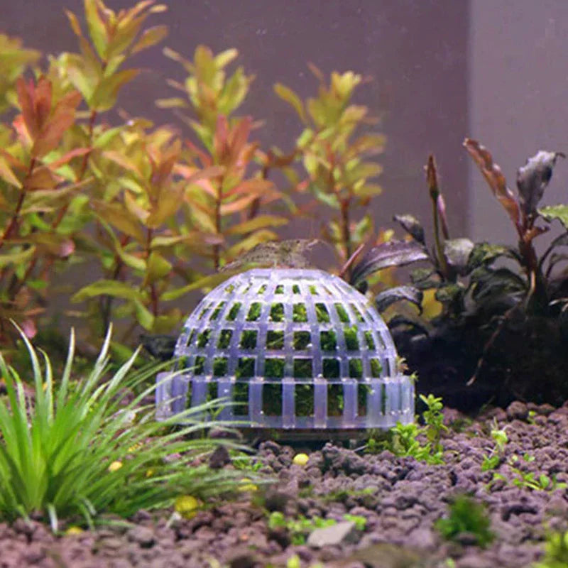 Aquatic Pet Supplies Decorations Aquarium Moss Ball Live Plants Filter Pet Decor