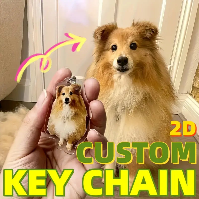 A translucent detailed 2d custom acrylic keychain featuring a lifelike depiction of a fluffy tan and white shetland sheepdog with expressive eyes for a custom pet photo memorial gift.