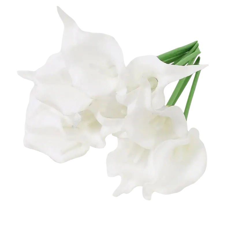 A delicate bouquet of five white calla lily flower bouquet with slender green stems tied together front view