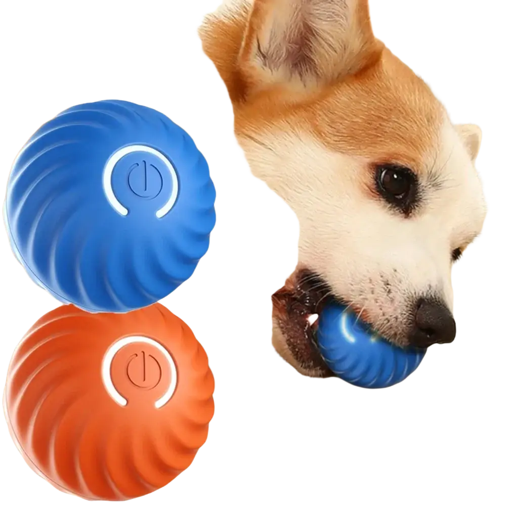 Blue and orange interactive dog toys with textured surfaces and power button designs for chase and roll play
