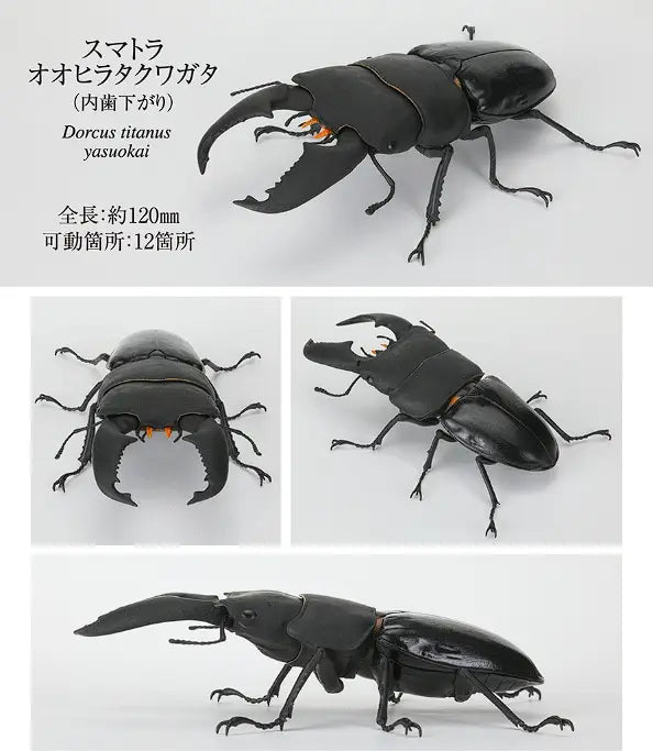 黒色の可動式ドルクス・タイタヌス・ヤスオアキ(Dorcus titanus yasuoaki)クワガタの置物フィギュアで、大あごが細部まで作り込まれ、分節された体を備えています。バンダイのノコギリクワガタ完成品モデル玩具です。