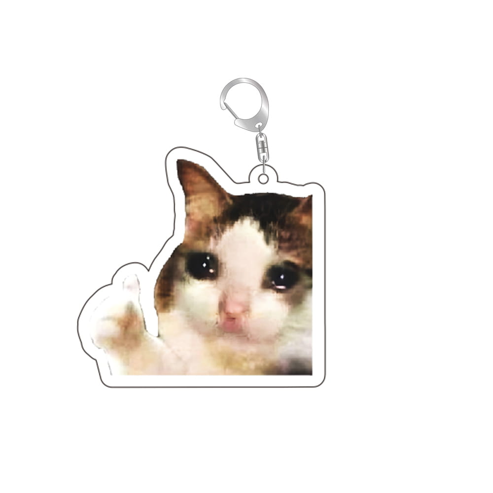 A transparent acrylic cat meme keychain featuring a brown and white cat giving a thumbs-up gesture.